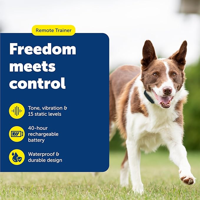 PetSafe Remote Trainer Dog Training Collar - 3 Training Modes: Tone, Vibration, 15 Levels of Static Stimulation, Standard for Dogs Over 8lb+ - Waterproof, Durable, Rechargeable - 100 Yards (300 Feet)