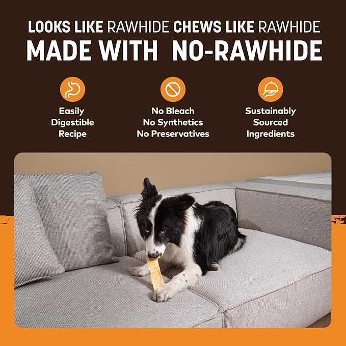 Earth Animal No Hide Strips - Natural Rawhide Free Dog Chew Strips, Chicken - 4 Count