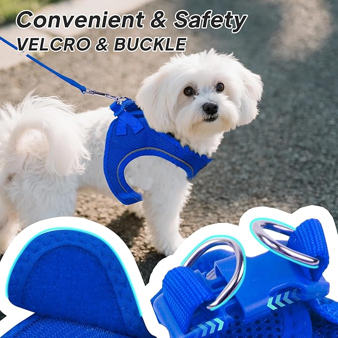 PetiFine Step in Small Dog Harness and Leash Set, Breathable All Weather Air Mesh Reflective Escape Proof, Step-in Vest Harnesses for Puppy(XS, Baby Blue)