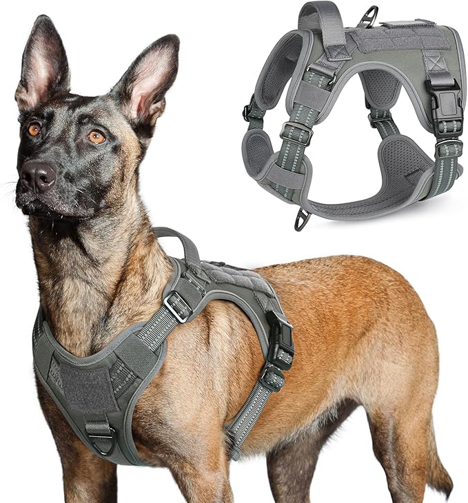 rabbitgoo Tactical Dog Harness for Large Dogs, No Pull Military Service Vest with Handle & Molle, Easy Control for Training Walking, Adjustable Reflective Straps, Dark Grey, L