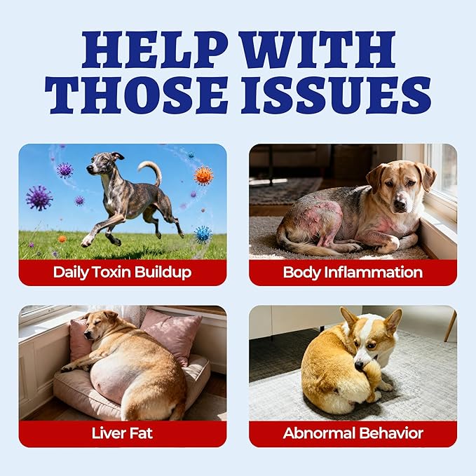 Wellix 260 Bites Liver Support for Dogs - Milk Thistle for Dog Liver Supplements with Omega-3 - Supports Heart & Antioxidant for Large,Small Breed Fogs -Chicken Flavor