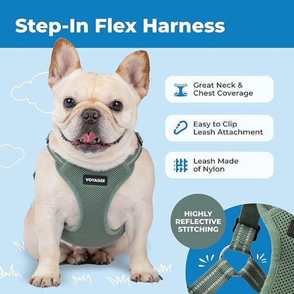 Best Pet Supplies Voyager Adjustable Step-in Flex Breathable Mesh Dog Harness for Small Medium Large Dogs Moss Green, S
