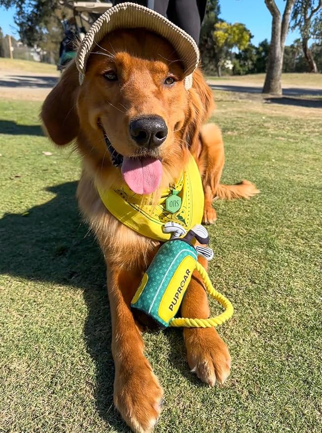PUPROAR Golf Dog Toy, Funny Dog Birthday Gift with Rope, Cute Squeaky Puppy Toy