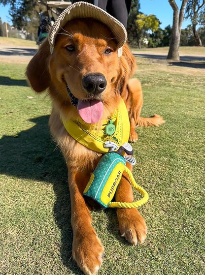 PUPROAR Golf Dog Toy, Funny Dog Birthday Gift with Rope, Cute Squeaky Puppy Toy