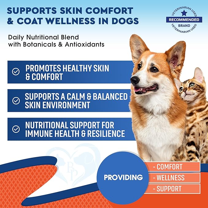 Natural Cats & Dogs Yeast Infection Anti Itch Treatment - Itchy Ears, Skin & Allergy Symptoms Relief - Reduces Inflammation & Relieves Irritation - Herbal Medicine Supplement (2 Pack (60 ml + 60 ml))