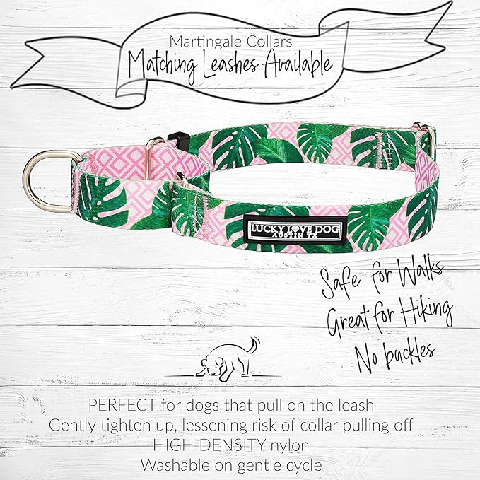 Lucky Love Dog Martingale Dog Collar - Adjustable, No-Slip, Comfortable, Durable, Soft Webbing & Stylish Patterned Collar for Male and Female Dogs Ideal for Training & Walking - Laguna, Medium