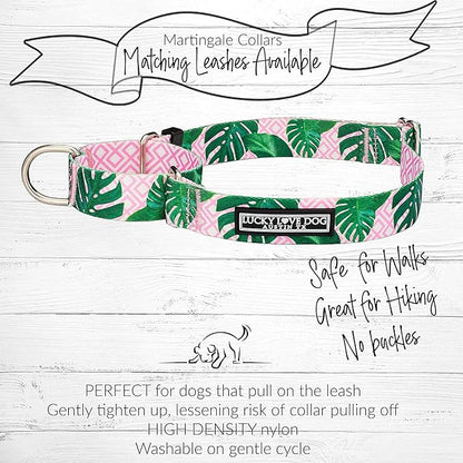 Lucky Love Dog Martingale Dog Collar - Adjustable, No-Slip, Comfortable, Durable, Soft Webbing & Stylish Patterned Collar for Male and Female Dogs Ideal for Training & Walking - Laguna, Medium