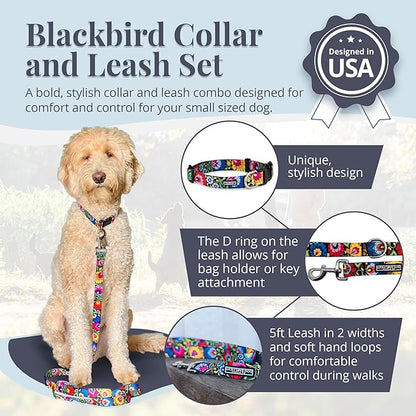 Lucky Love Dog - Easy Click Buckle Dog Collar with Leash Set Combo, Durable & Comfortable for Male & Female Dogs, Pet Collar for Small Dogs, Secure Fit - Blackbird Combo, Small