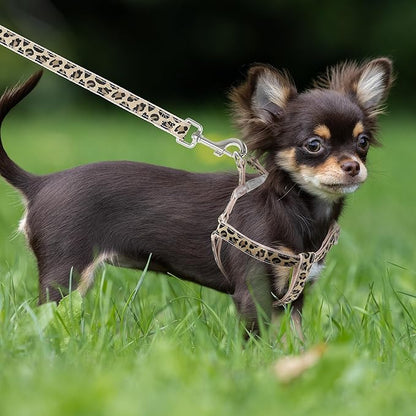 Mile High Life Leopard Dog Harness Collar Leash Set, Adjustable No Pull Dog Halter Harness for Small Breed Dogs, Easy Control for Training Walking (Beige, M Chest 15"-21", Neck 13"-17")