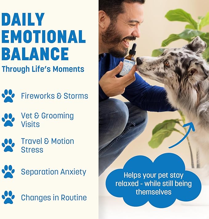 Keepin' Calm Ashwagandha Drops for Dogs & Cats - Calming Aid for Fireworks, Storms, Travel & Separation - Herbal Stress Relief, Non-Drowsy, 60ml