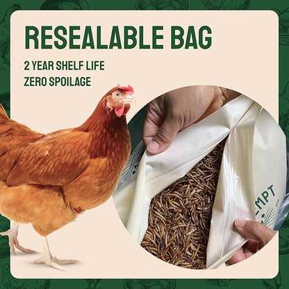 Hatortempt Bulk Dried Mealworms - 10 Lb Bag - Non-GMO Dried Mealworms for Chickens, Ducks & Wild Birds - High-Protein Chicken Feed & Bird Food