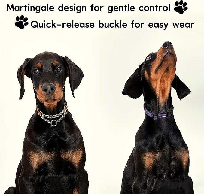 Martingale Dog Collars, Reflective Nylon Collar with Stainless Steel Chain, Adjustable Walking Training Dog Collars with Quick Release Buckle, Suitable for Small Medium Large Dogs(Purple,XL)