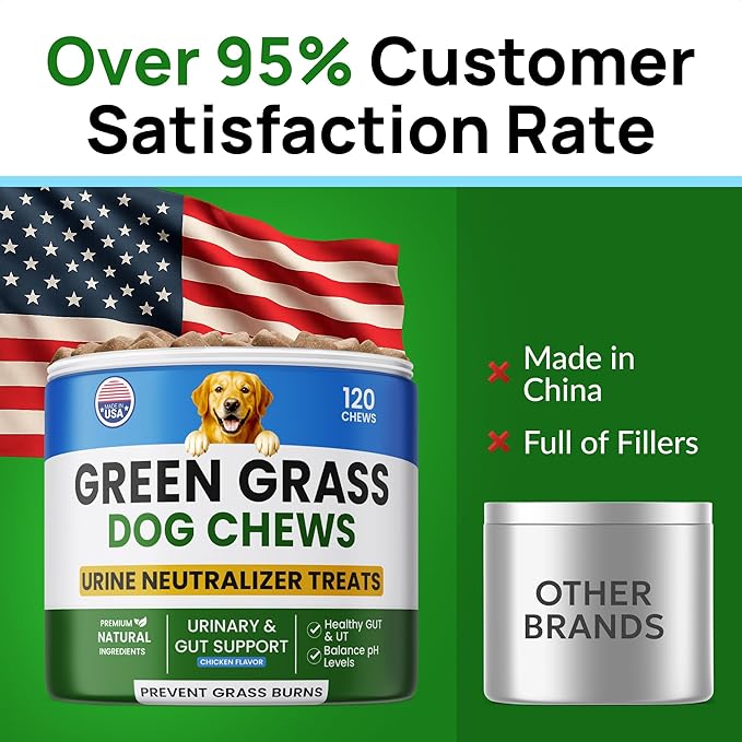 PAWFECTCHEW Green Grass Dog Chews w/Probiotics - Prevent Urine Burning Grass - Dog Pee Grass Spot Saver - Dog Urine Neutralizer for Lawn Treats, UT & Gut Health for Dogs, Lawn Burn from Dog Urine