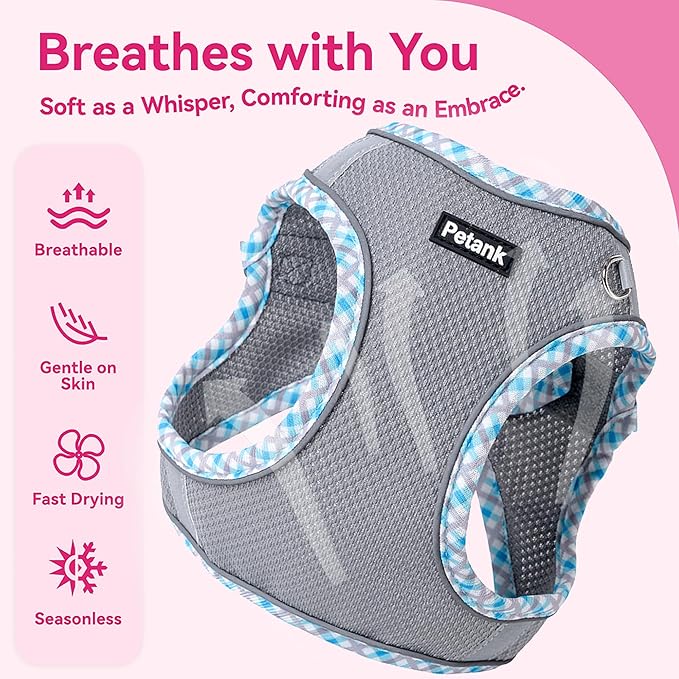 Petank Dog Harness for Small Medium Dogs No Pull, Puppy Harness and Leash Set for Walking, Running, Training, Small Dog Harness, Medium Dog Harness (Grey, XXS)