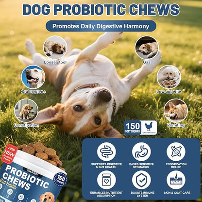 Probiotics for Dogs, Dog Probiotics Chews for Digestive Health & Gut Health, Improve Immune System,Constipation & Diarrhea Relief(Chicken Flavor, 150 Chews)
