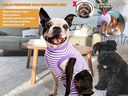 Dog Surgery Recovery Suit Dogs Neuter Spay Female Male Protective Clothes,XXL Purple-White Striped