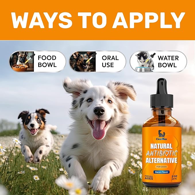 Dog Antibiotics for Infections, Allergies, Coughs – Natural Antibiotics for Dogs with Cranberry Provide Urination & Digestion Care – Natural Ingredients + Bacon Flavor – 2 Oz