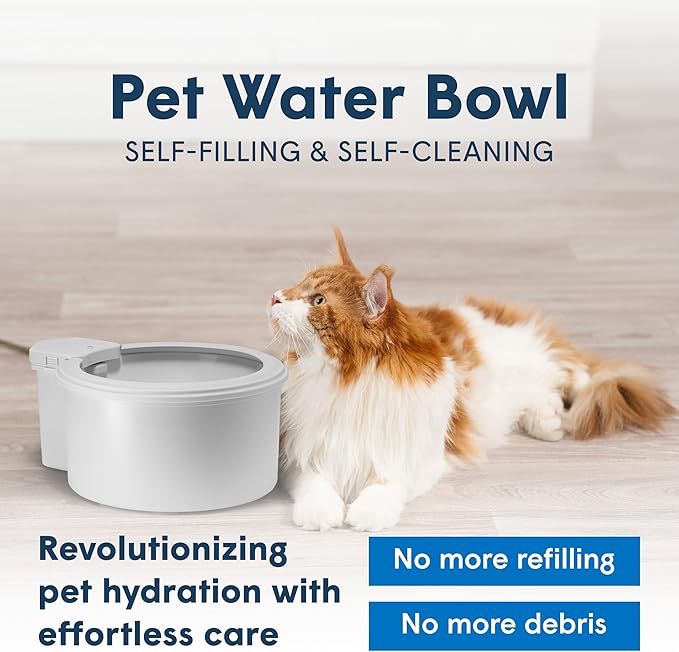 Always Full® 7” Cat Water Bowl and Bottle Pump Bundle, Self Refilling with Clean Filtered Water, App Enabled Smart Hydration Monitoring, Upgradeable System for Cats and Small Dogs