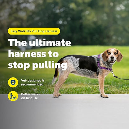 PetSafe Easy Walk Harness for Dogs - Pull-Free Walks - Patented Martingale Loop Design - Front Chest Leash Attachment - Comfort Straps - Breathable Harness Design - Small/Medium, Deep Purple/Black