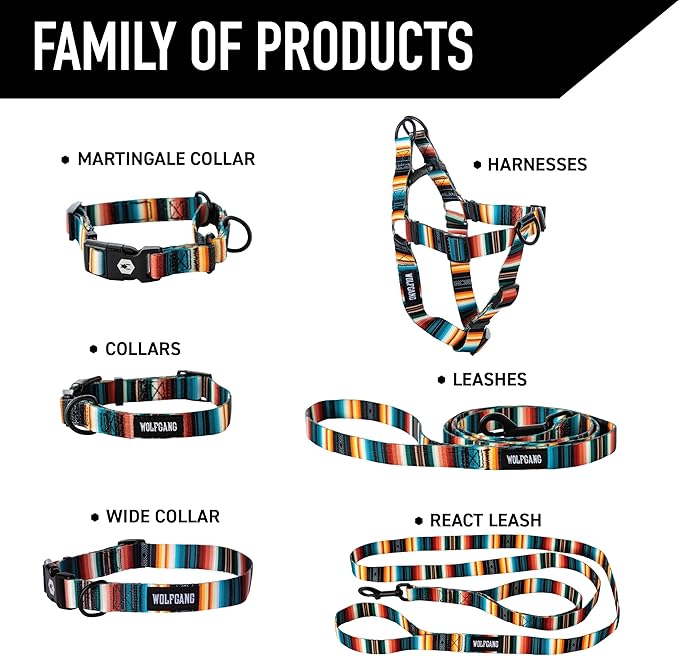Wolfgang Heavy Duty Dog Leash, Pull-Tested to Over 800 lbs for Walking & Training, LostArt Print, Large