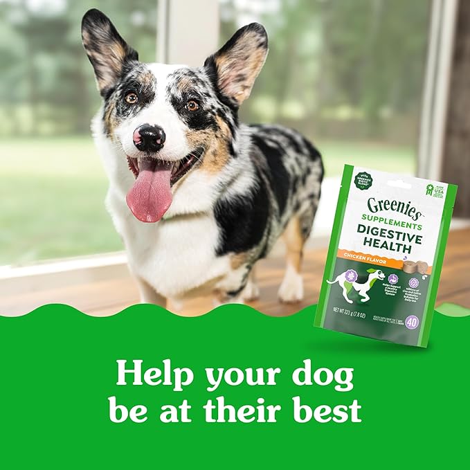 Greenies Supplements Digestive Health Probiotics for Dogs, Dog Probiotic Supplements, Chicken Flavor, 7.8 oz. Pouch of 40 Count