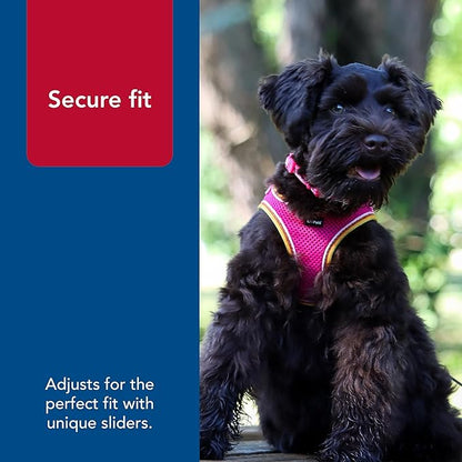 Coastal Pet Li'l Pals Comfort Mesh Dog Harness - No-Pull Step-in Dog Harness for Small Dogs & Puppies - Dog Cooling Vest - Orchid - 3/8" x 8"-10"