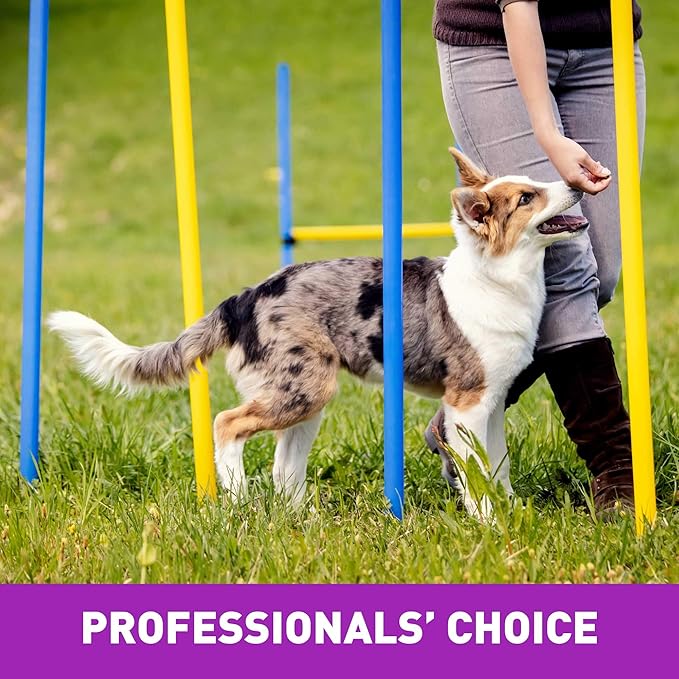 Cloud Star Tricky Trainers Crunchy, Low Calorie Training Dog Treat, Made in the USA, Wheat & Corn Free