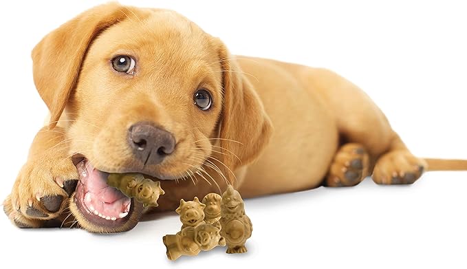 Nylabone Healthy Edibles Natural Puppy Chews Long Lasting Treats for Puppies, Lamb & Apple Flavor, Small/Regular (4 Count) (Pack of 2)