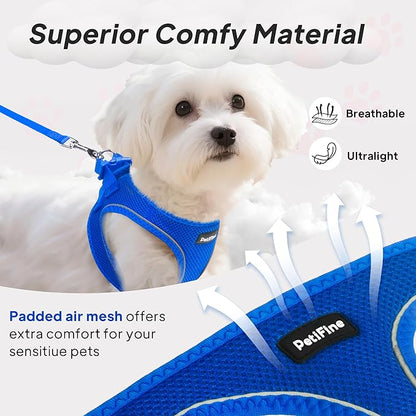 PetiFine Step in Small Dog Harness and Leash Set, Breathable All Weather Air Mesh Reflective Escape Proof, Step-in Vest Harnesses for Puppy(XS, Baby Blue)