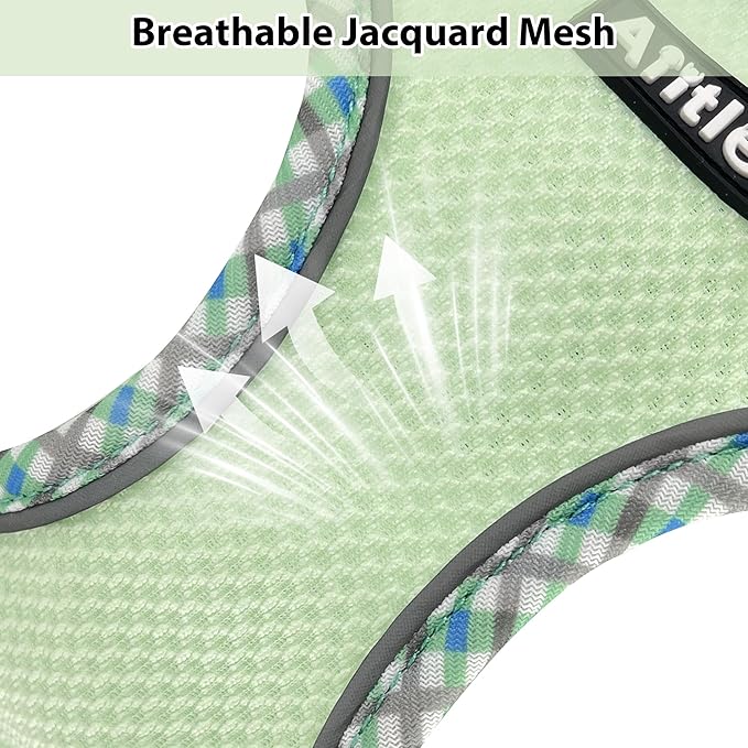 AIITLE Tiny Dog Harness - Lightweight Mesh Step-in Vest for Puppy, Reflective & Escape-Proof Design with High-Stick Magic Tape - Indoor/Outdoor Use for Chihuahua, Maltese, Shih Tzu(Sage, XXXS)