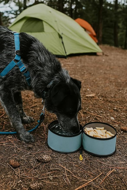 OllyDog Superbowl | Collapsible Dog Travel Bowl | 2 Compartment Food & Water | Foldable| Portable Dog Bowl | Hiking, Camping (St. Lucia)