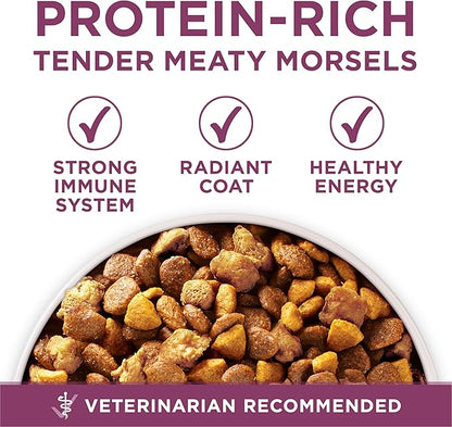 Purina ONE Plus Healthy Puppy Formula High Protein Natural Dry Puppy Food with added vitamins, minerals and nutrients - 16.5 lb. Bag