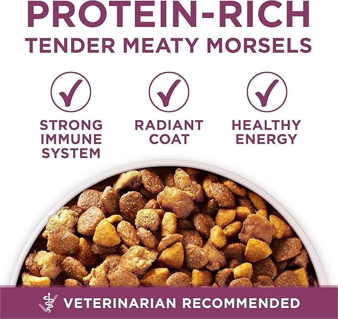 Purina ONE Plus Healthy Puppy Formula High Protein Natural Dry Puppy Food with added vitamins, minerals and nutrients - (Pack of 4) 4 lb. Bags