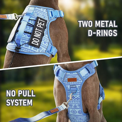 AUNZO No-Pull Dog Harness for XS Dogs, Anti-Escape Easy Walking Reflective Adjustable Lightweight Dog Vest with Breathable Oxford Material, Easy On/Off with Neck Buckle, Blue XS