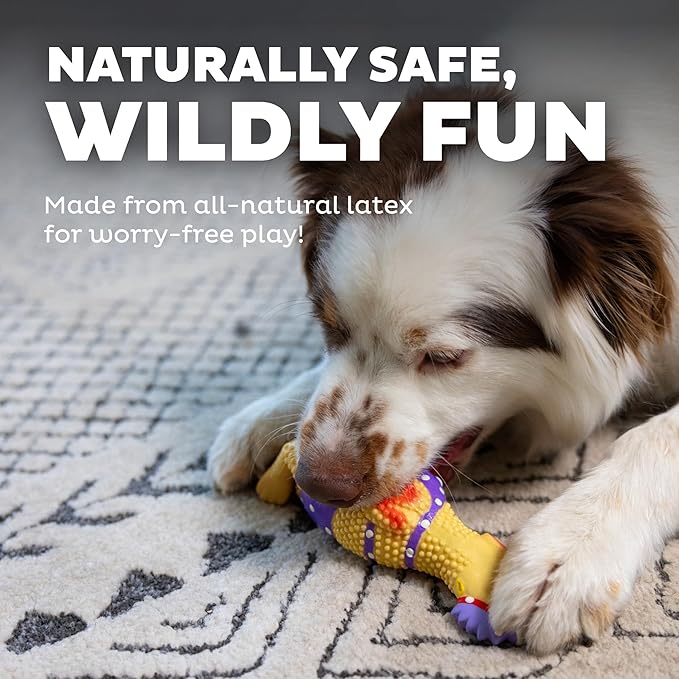 Outward Hound by Charming Pet Squawkers Henrietta Latex Squeaky Rubber Chicken Dog Toy, Funny Interactive Holiday Toy for Dogs, Small Size (Pack of 2)