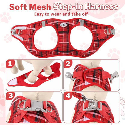 Gyuzh Small Dog Harness and Leash Set for Puppies - 3 Pieces Step in No Pull Vest & Collar, Extra Small Kitten Harness, Breathable Reflective Plaid, Padded Leash (Red, S)