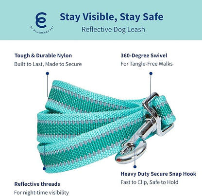 Blueberry Pet Essentials Reflective Back to Basics Matching Dog Harness and Leash Set, Minty Green, Adjustable Harness with 5 ft Leash for Medium Dogs