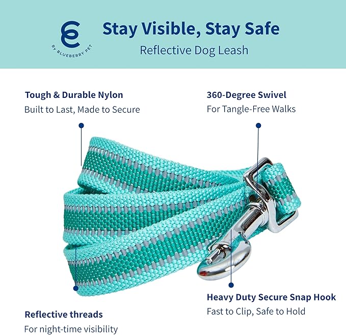 Blueberry Pet Essentials Reflective Back to Basics Matching Dog Harness and Leash Set, Minty Green, Adjustable Harness with 4 ft Leash for Large Dogs
