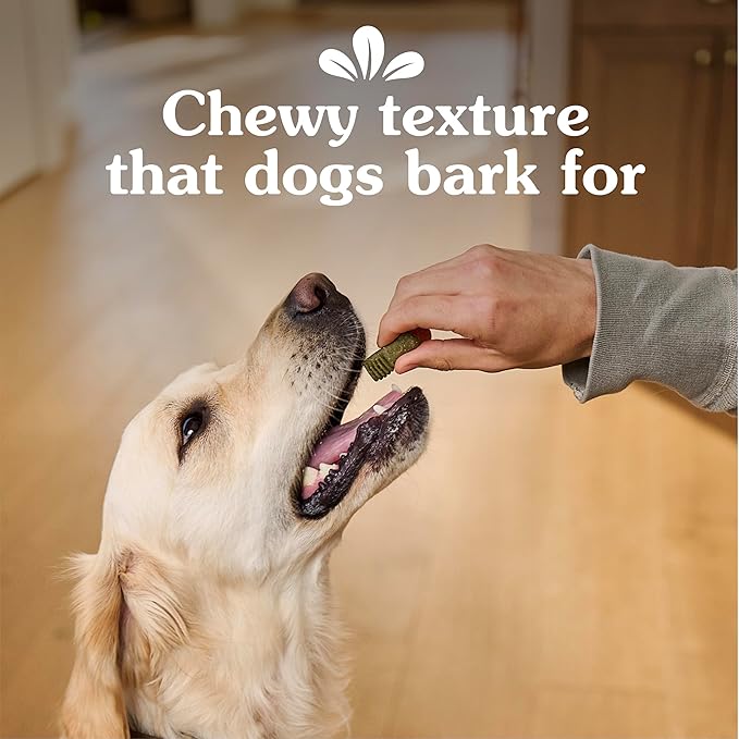 Greenies Anytime Bites Dog Treats, Mint Flavor, Dog Training Treats, 24 oz. Bag