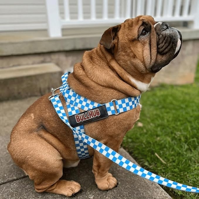 BULLHUG 6 FT Bulldog Leash with Padded Handle. Perfect for Bulldogs, French Bulldogs, Pugs & All Breeds. Leashes for Walking, Training Lead for Bulldogs (Blue Checkers)