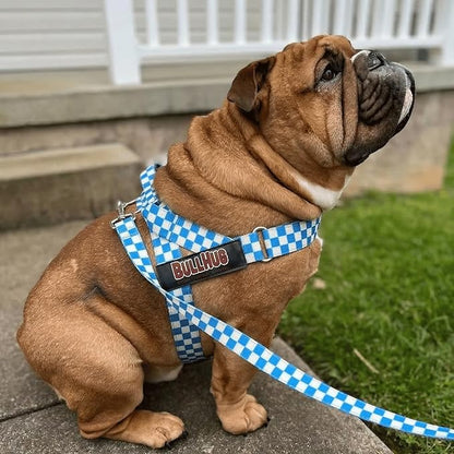 BULLHUG 6 FT Bulldog Leash with Padded Handle. Perfect for Bulldogs, French Bulldogs, Pugs & All Breeds. Leashes for Walking, Training Lead for Bulldogs (Blue Checkers)