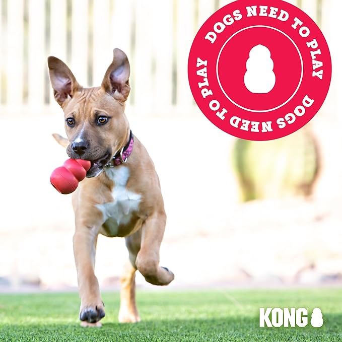 KONG Knots Twists Plush Dog Toy – Durable Rope & Plush for Tug and Toss – Internal Knotted Rope and Squeaker – Assorted Characters (Small/Medium)