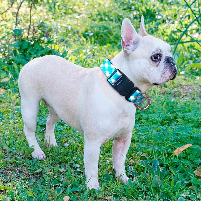 Ladoogo Reflective Dog Collar Padded with Soft Neoprene Breathable Adjustable Nylon Dog Collars for Small Medium Large Dogs (Medium (Pack of 1), Vivid Blue Plaid Collar+Leash)