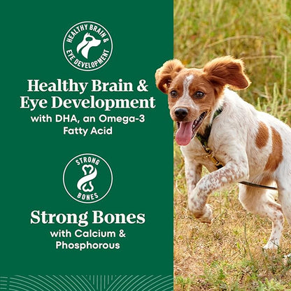 Nutro Natural Choice Dry Dog Food Large Breed, Puppy Food Dry Recipe, Chicken and Brown Rice Recipe, 30 lbs.