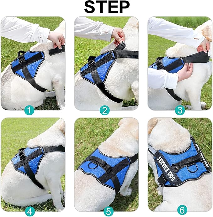 Moonpet Personalized No Pull Dog Harness Leash Set with Custom Name and Phone Number, Heavy Duty Pet Vest to Prevent Tugging, Pulling, or Choking, Training and Walking (XS-XXL, 9 Colorful)