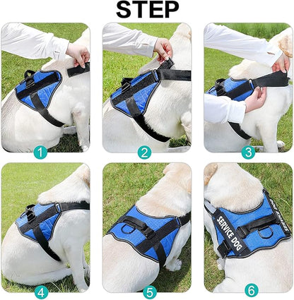 Moonpet Personalized No Pull Dog Harness Leash Set with Custom Name and Phone Number, Heavy Duty Pet Vest to Prevent Tugging, Pulling, or Choking, Training and Walking (XS-XXL, 9 Colorful)