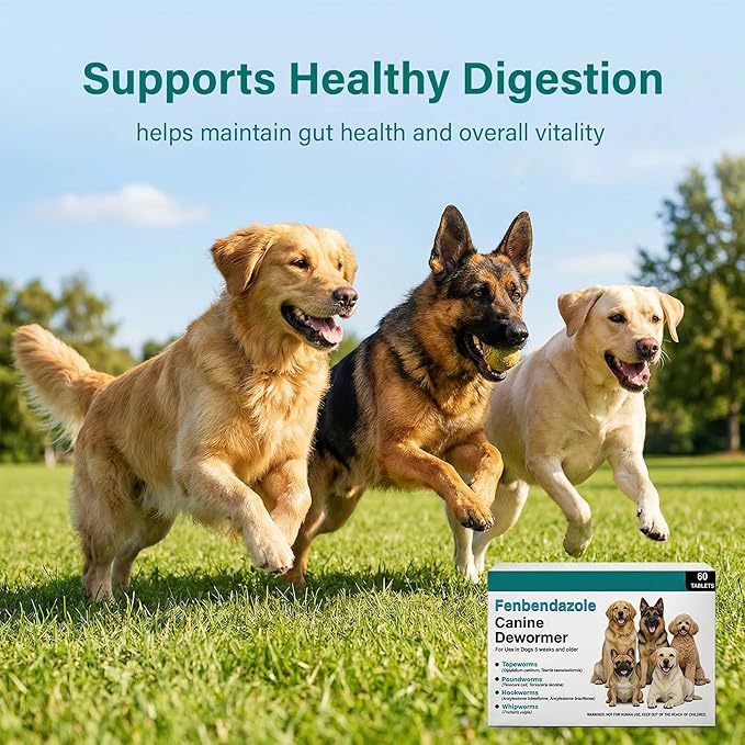 Dewormer for Dogs, (Fenbendazole) for Tapeworms, Roundworms, Hookworms and Whipworms
