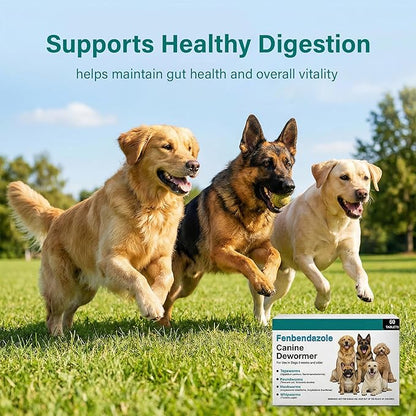 Dewormer for Dogs, (Fenbendazole) for Tapeworms, Roundworms, Hookworms and Whipworms