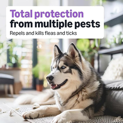 Amazon Basics Preventative Flea and Tick Topical Treatment for Dogs, Large (45-88 lbs), Fast Acting and Long Lasting, 3 Counts, Packaging May Vary