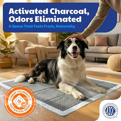 American Kennel Club Carbon-Activated Puppy Training Pads – 50 Count, 28 x 30, XL